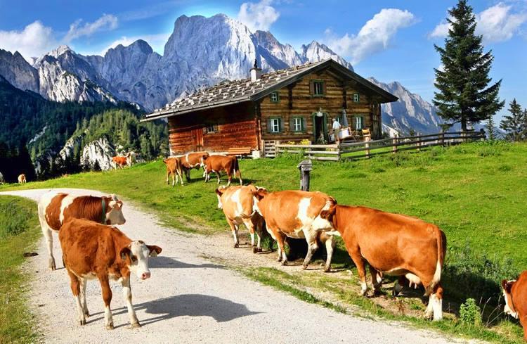 Отель Haus Hohenwarter Лофер Экстерьер фото